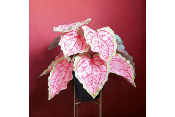 Caladium 3D SVG: Floral Compositions for Brand Design