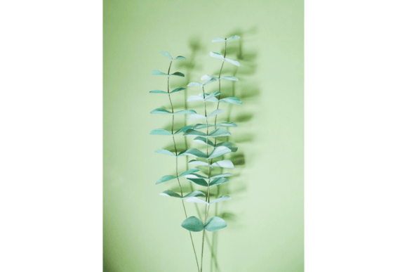 Eucalyptus True Blue: 3D SVG Flowers for Branding