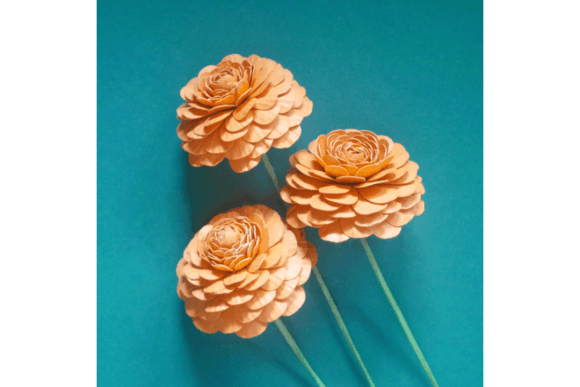 Ranunculus Cloni Mambo 3D SVG Paper Flowers Review