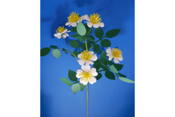 Silvia Rose: 3D SVG Paper Flowers for Branding