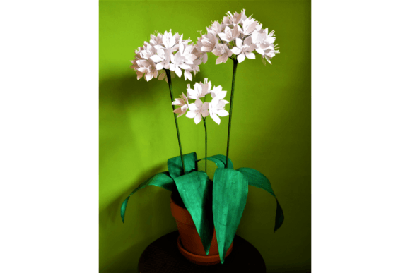 White Allium Embroidery Design Review
